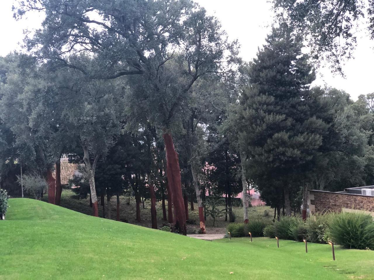 Гостьовий будинок Bosque Da Harmonia Арку-де-Баульє Екстер'єр фото